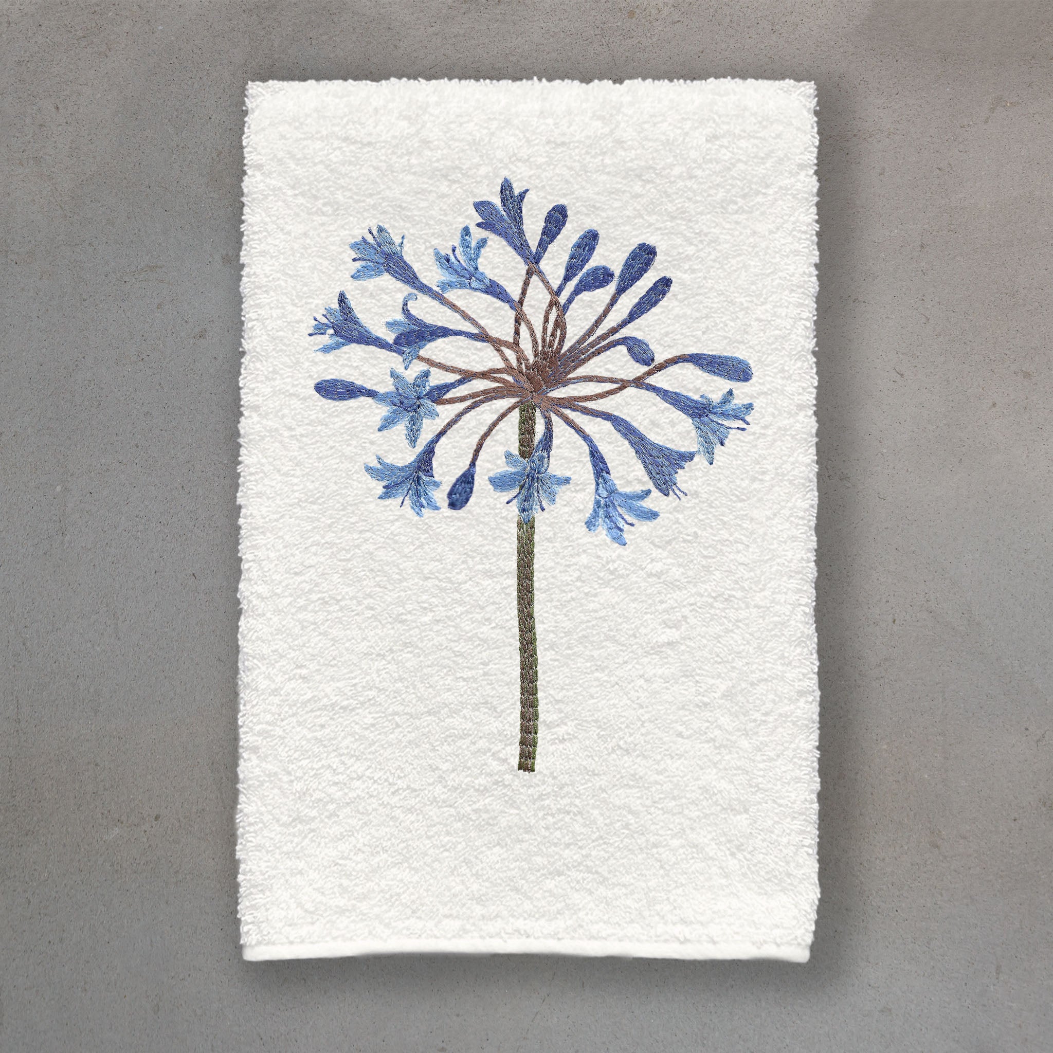 Agapanthus Blue | Ivory