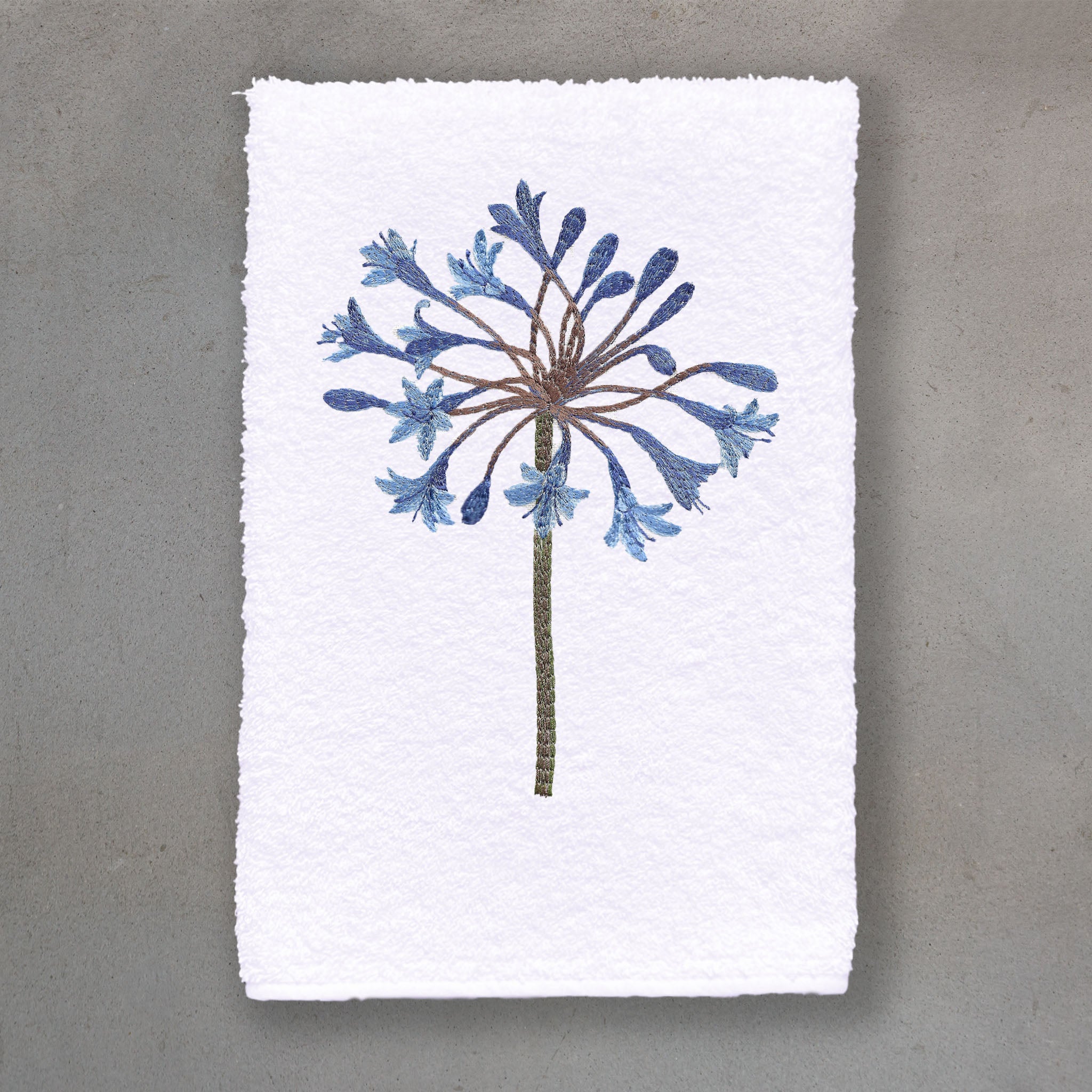 Agapanthus Blue | White