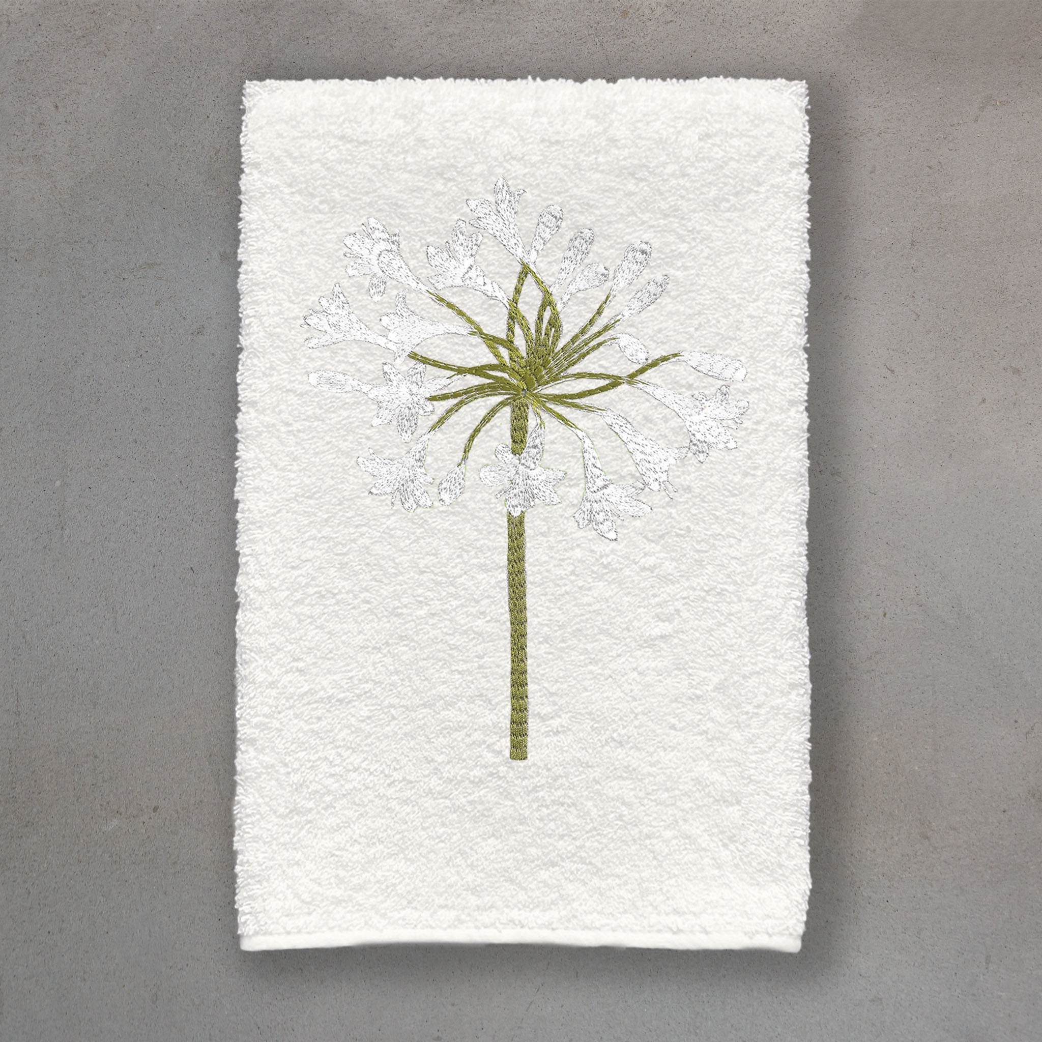 Agapanthus White | Ivory Roma