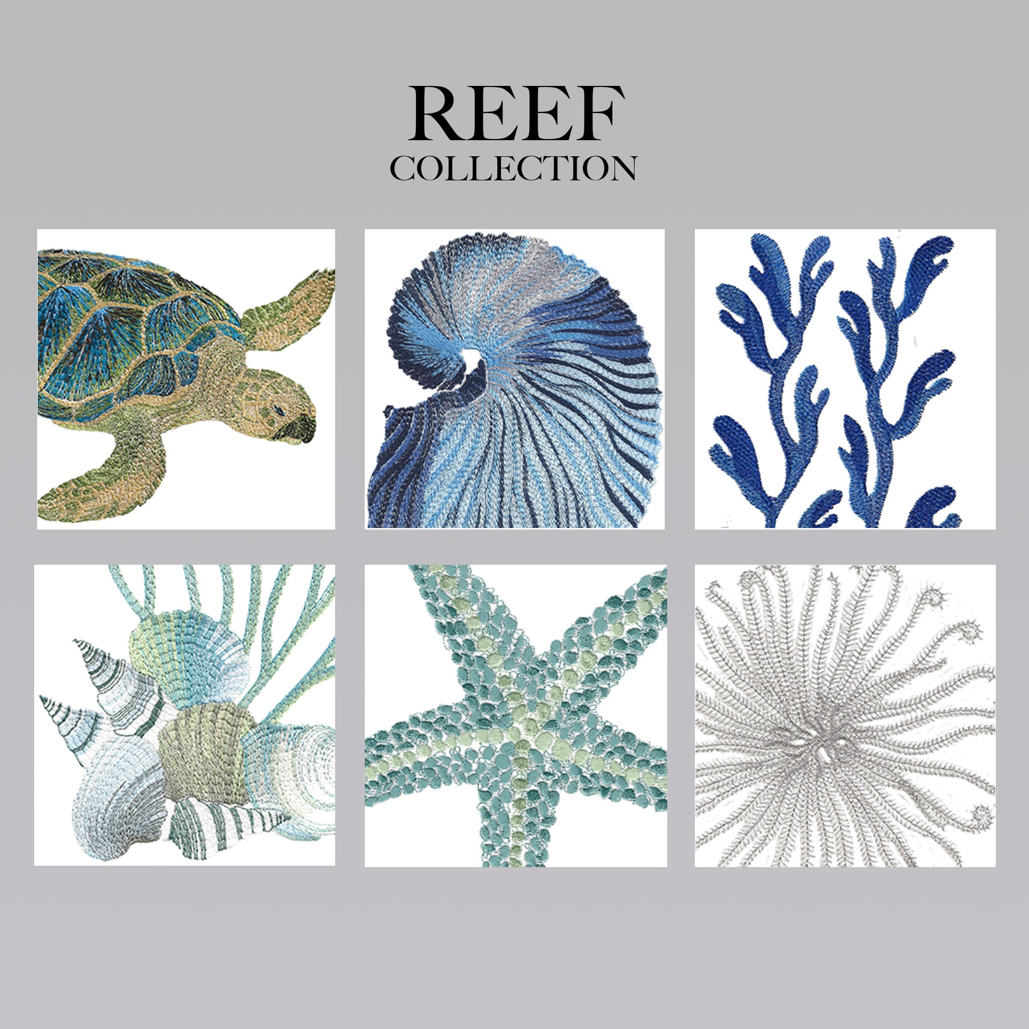 Reef