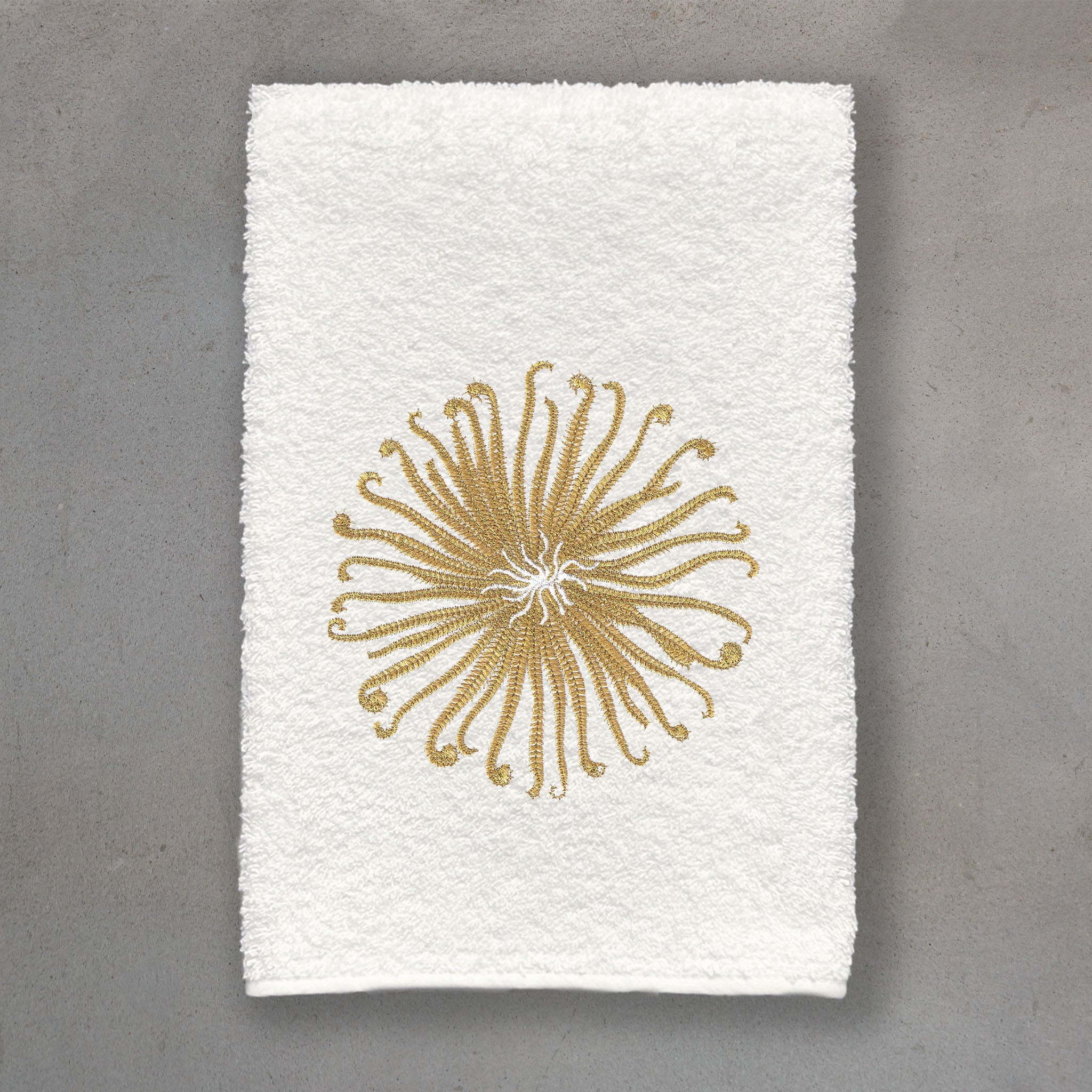 Curly Urchin Gold | Ivory Roma