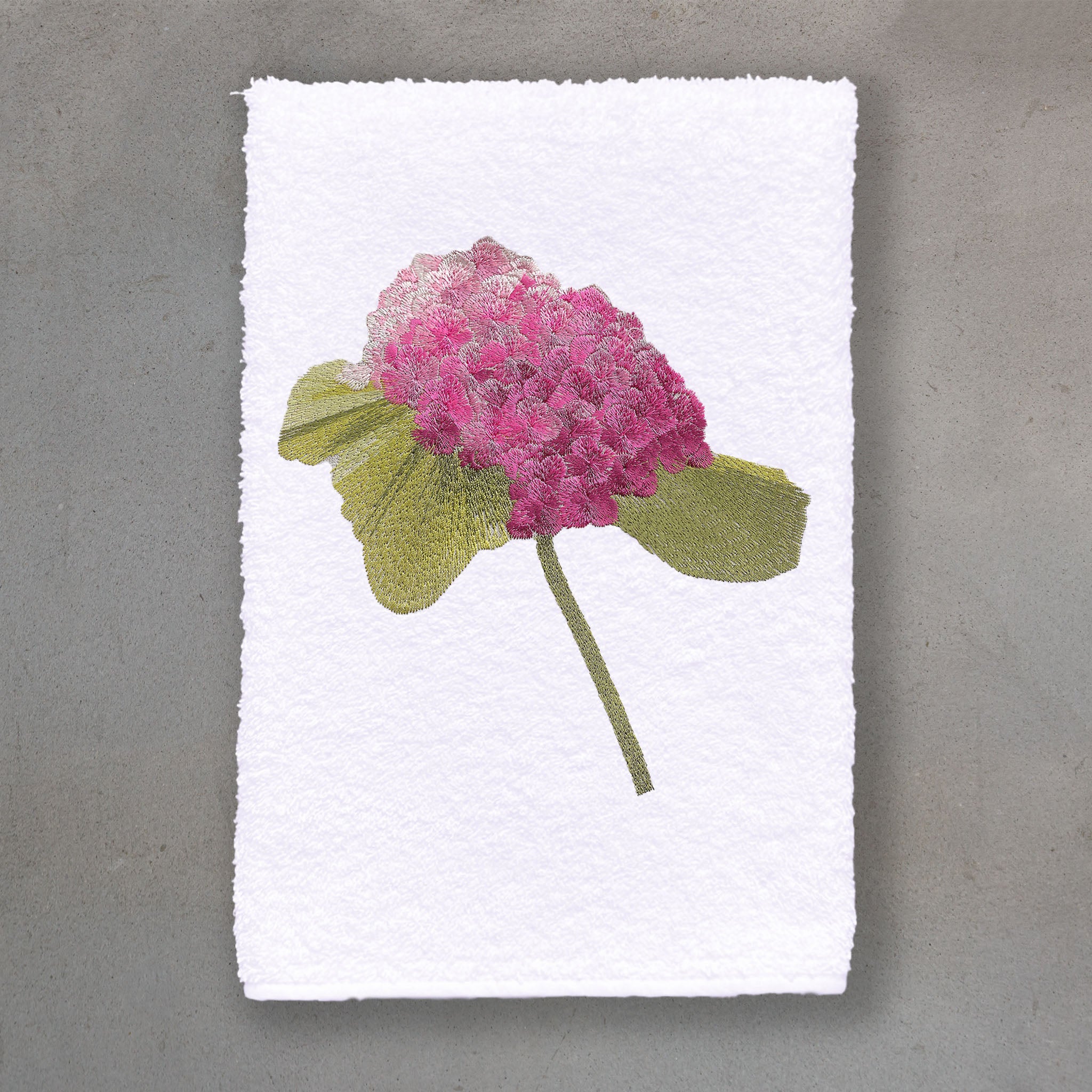 Hydrangea Pink | White Roma