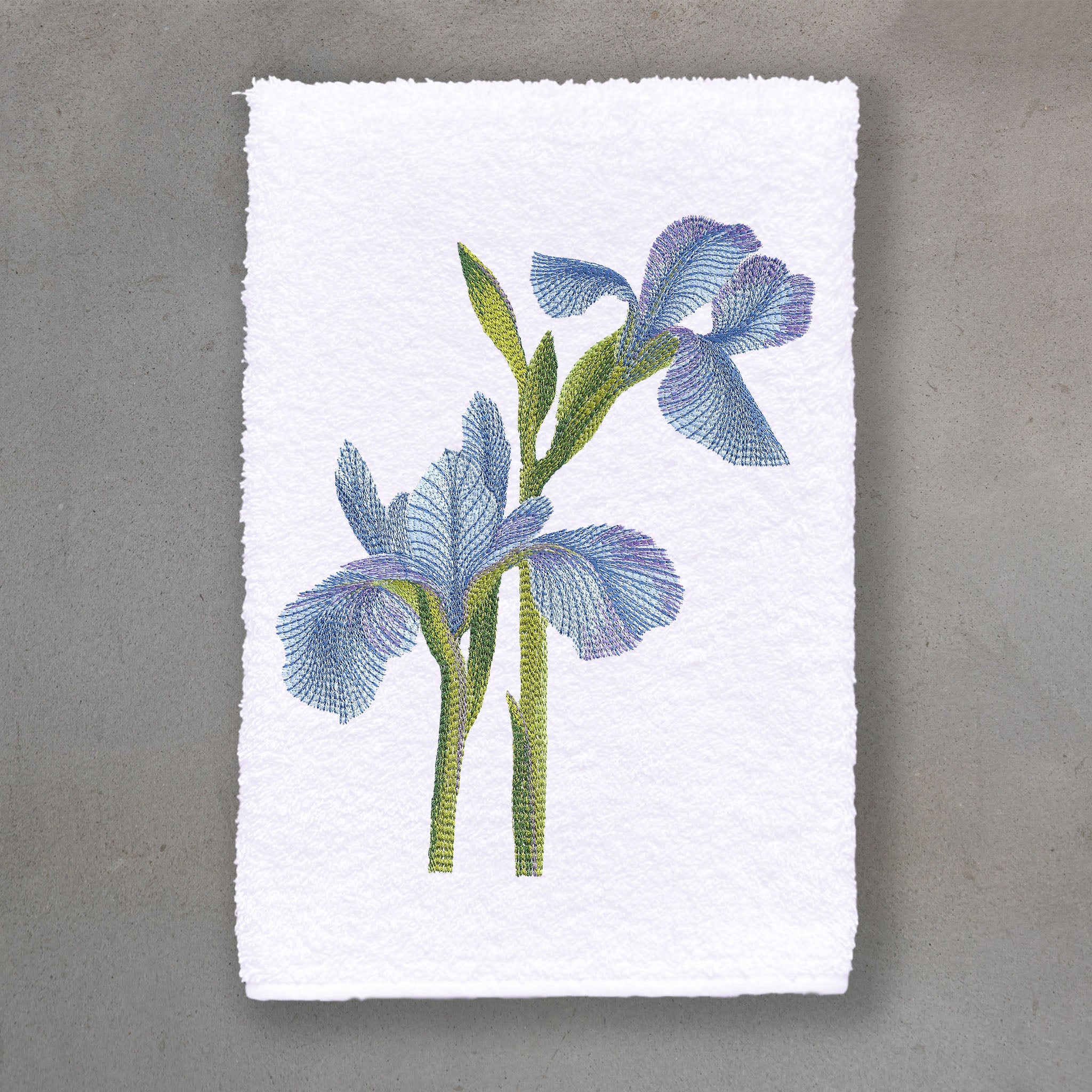 Iris Blue | White Roma