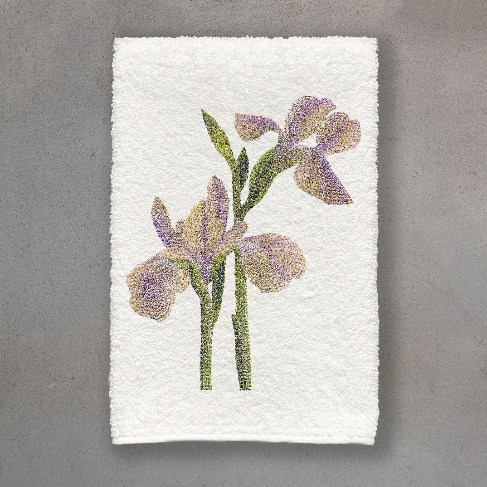 Iris Violet | Ivory Roma