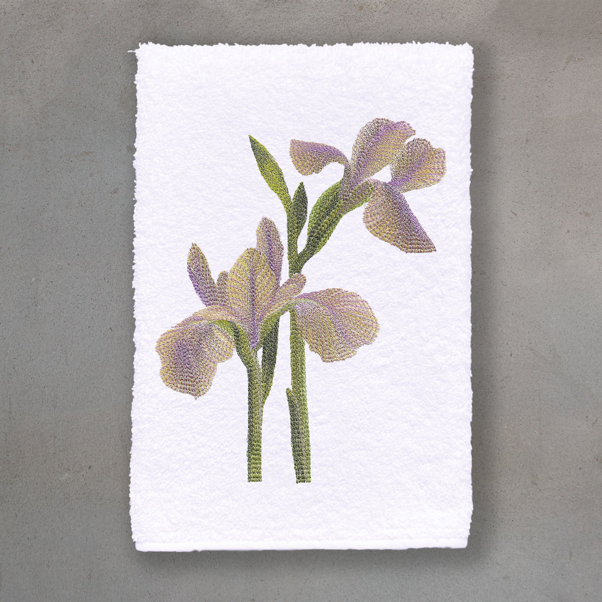 Iris Violet | White Roma