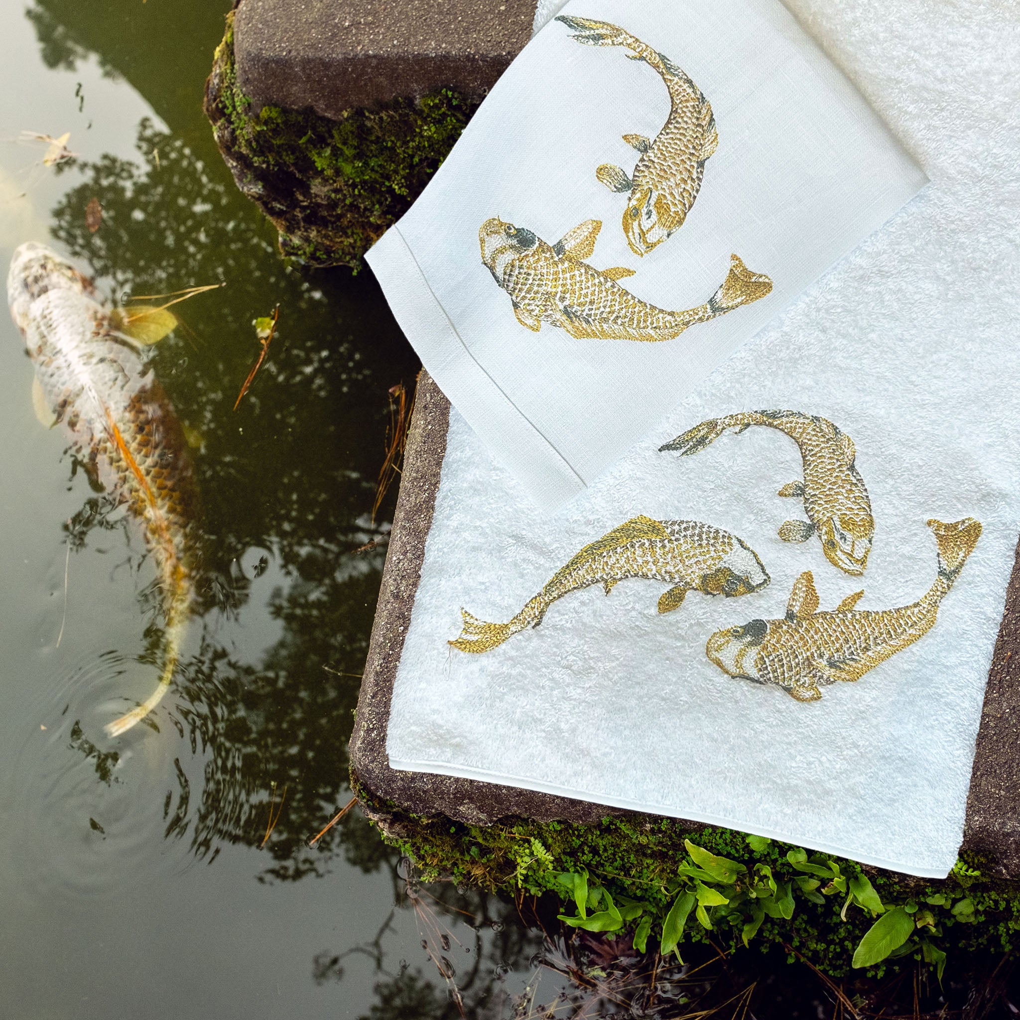 Koi