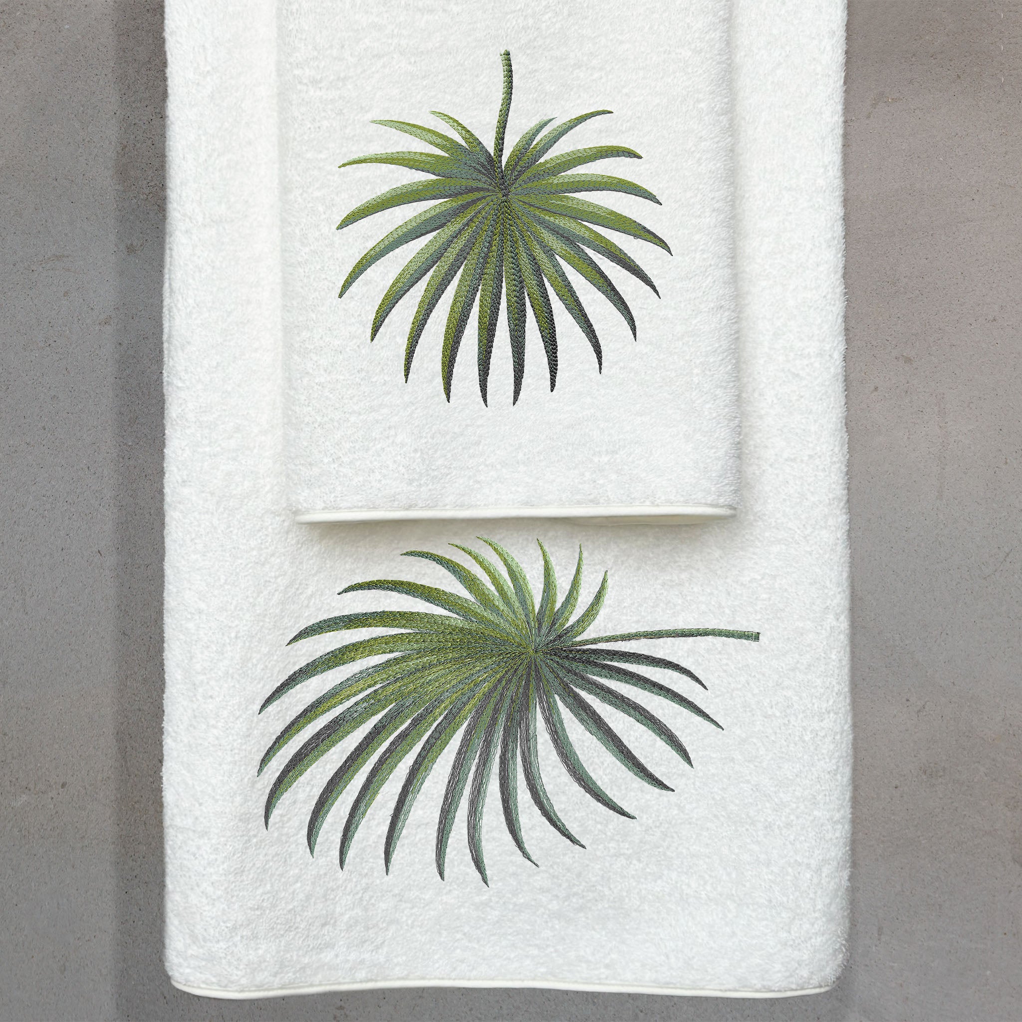 Palmetto
