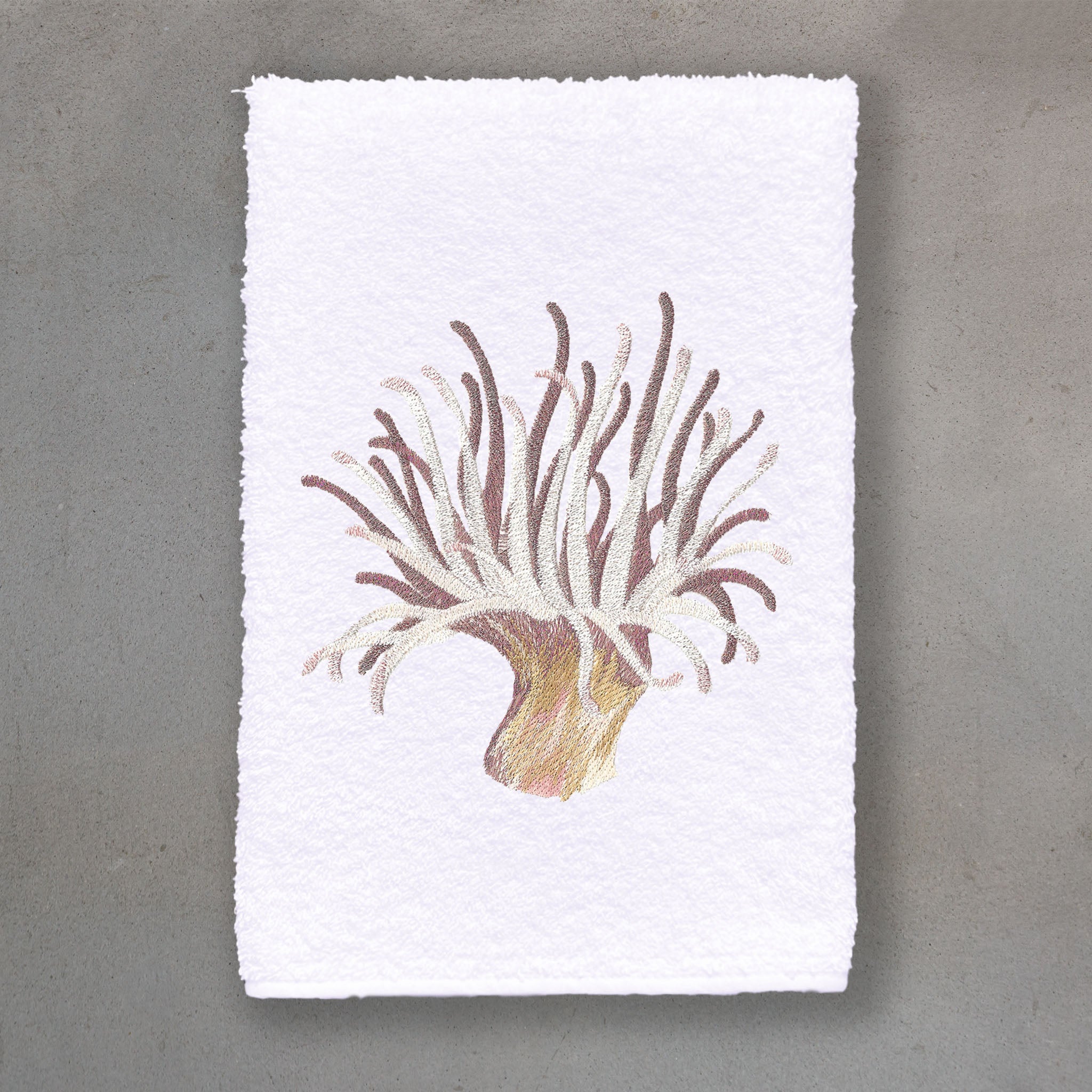 Sea Anemone Copper | White Roma