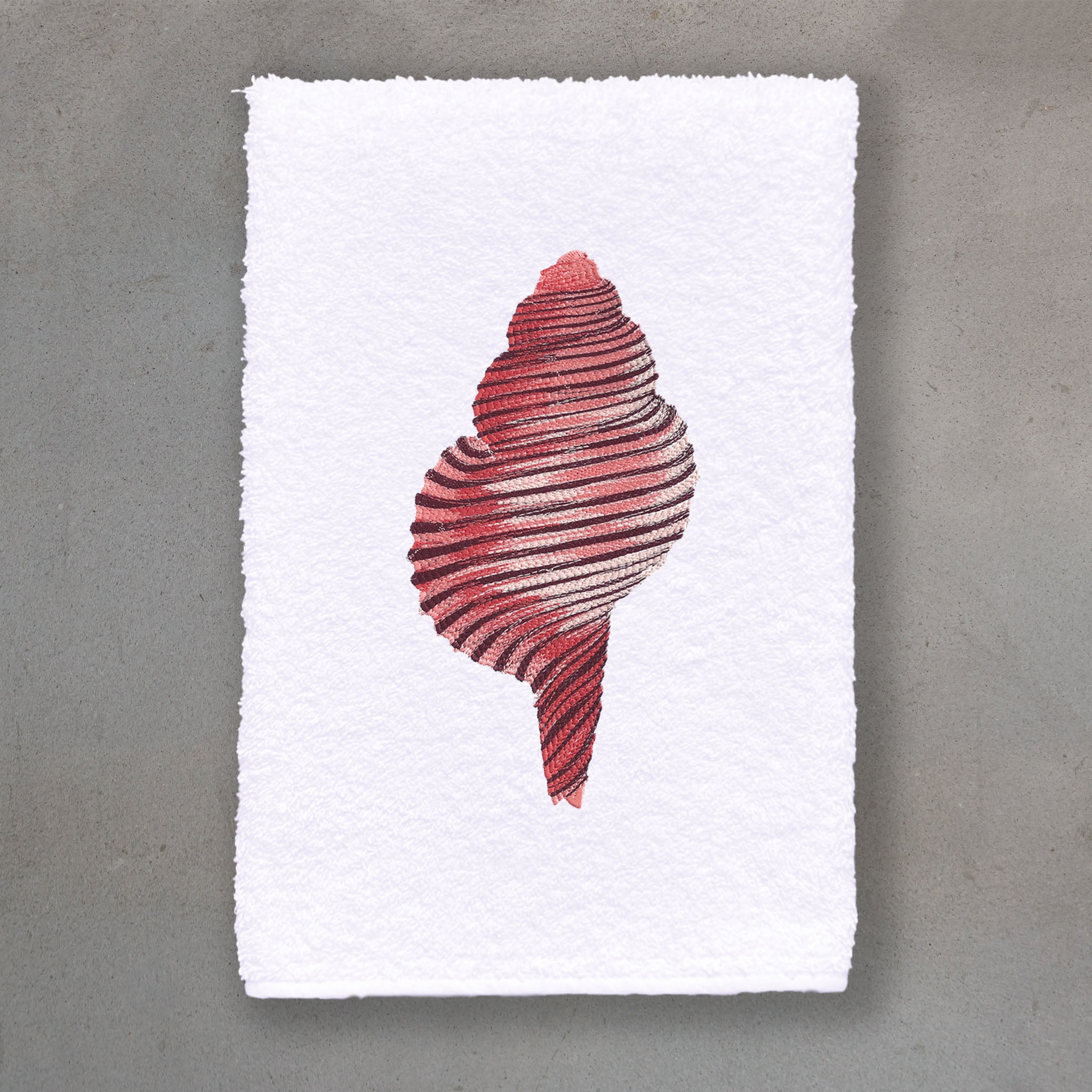 Spiral Shell Coral | White Roma