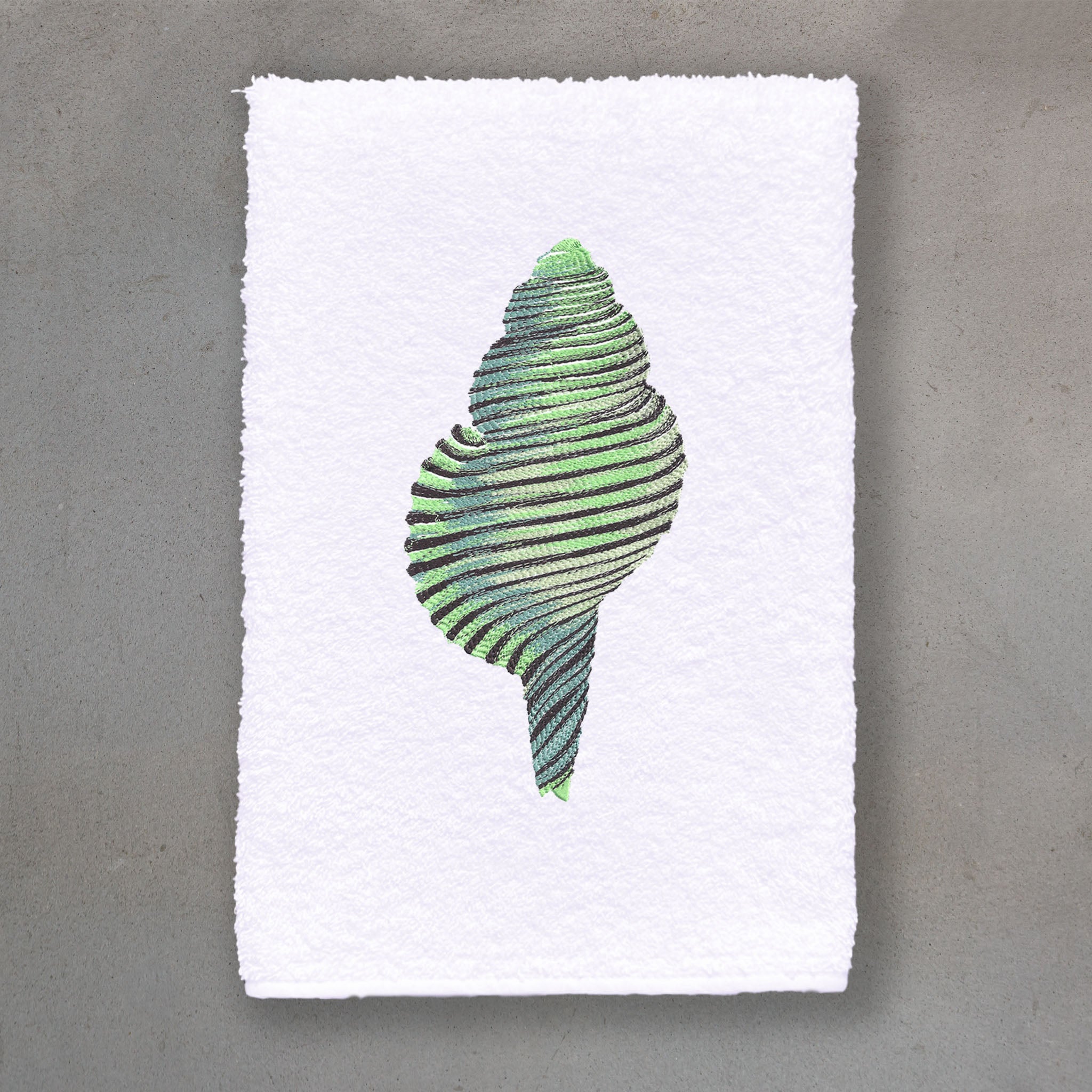 Spiral Shell Green | White Roma