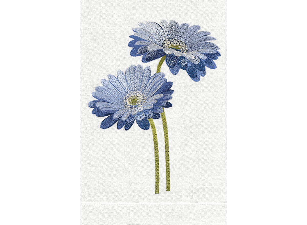 Blue/White