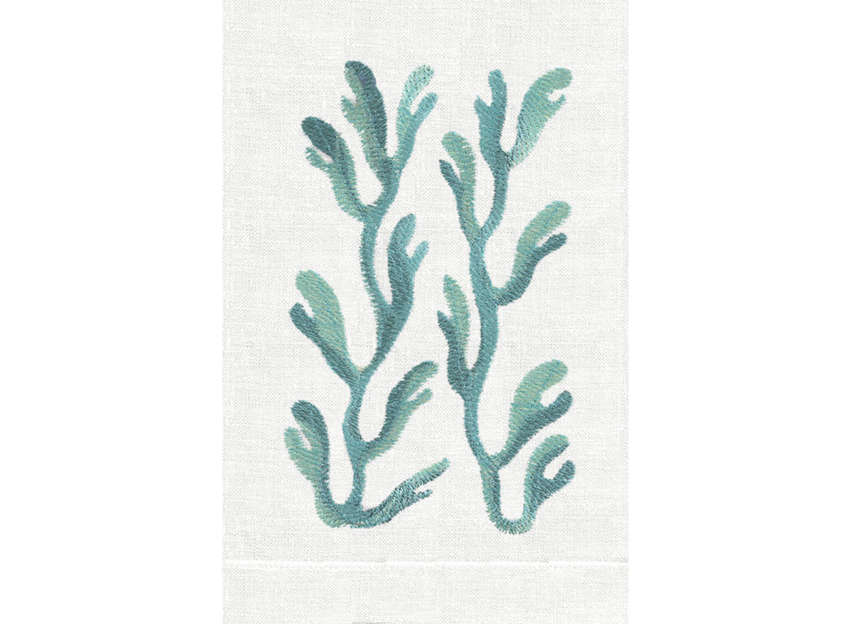 Aqua/White