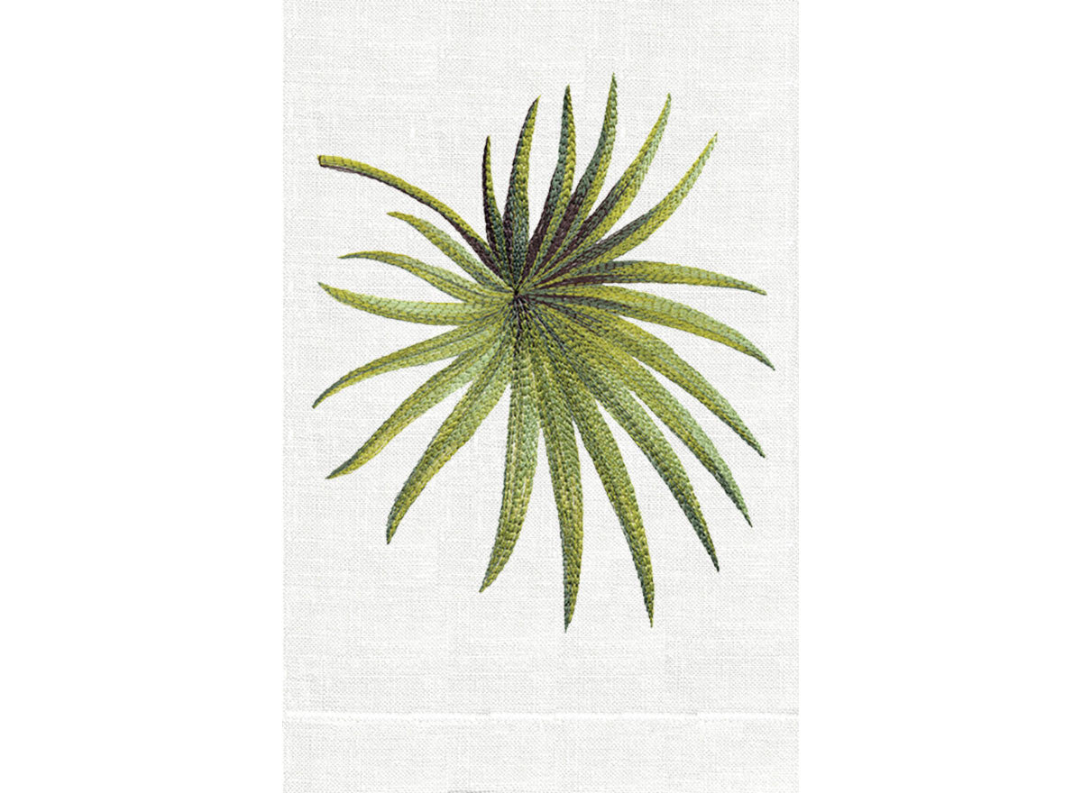 Palmetto