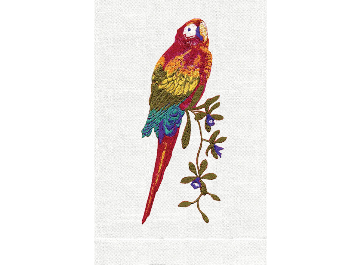 Macaw