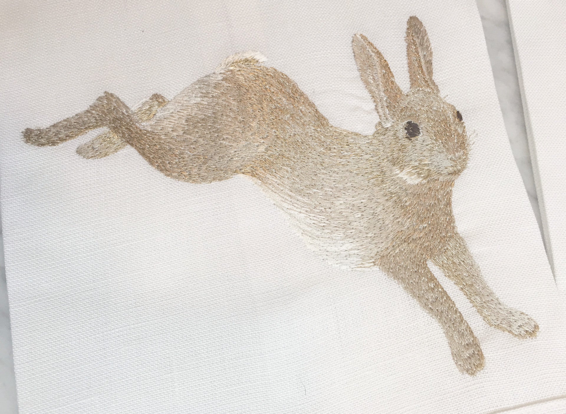 Metallic Rabbit