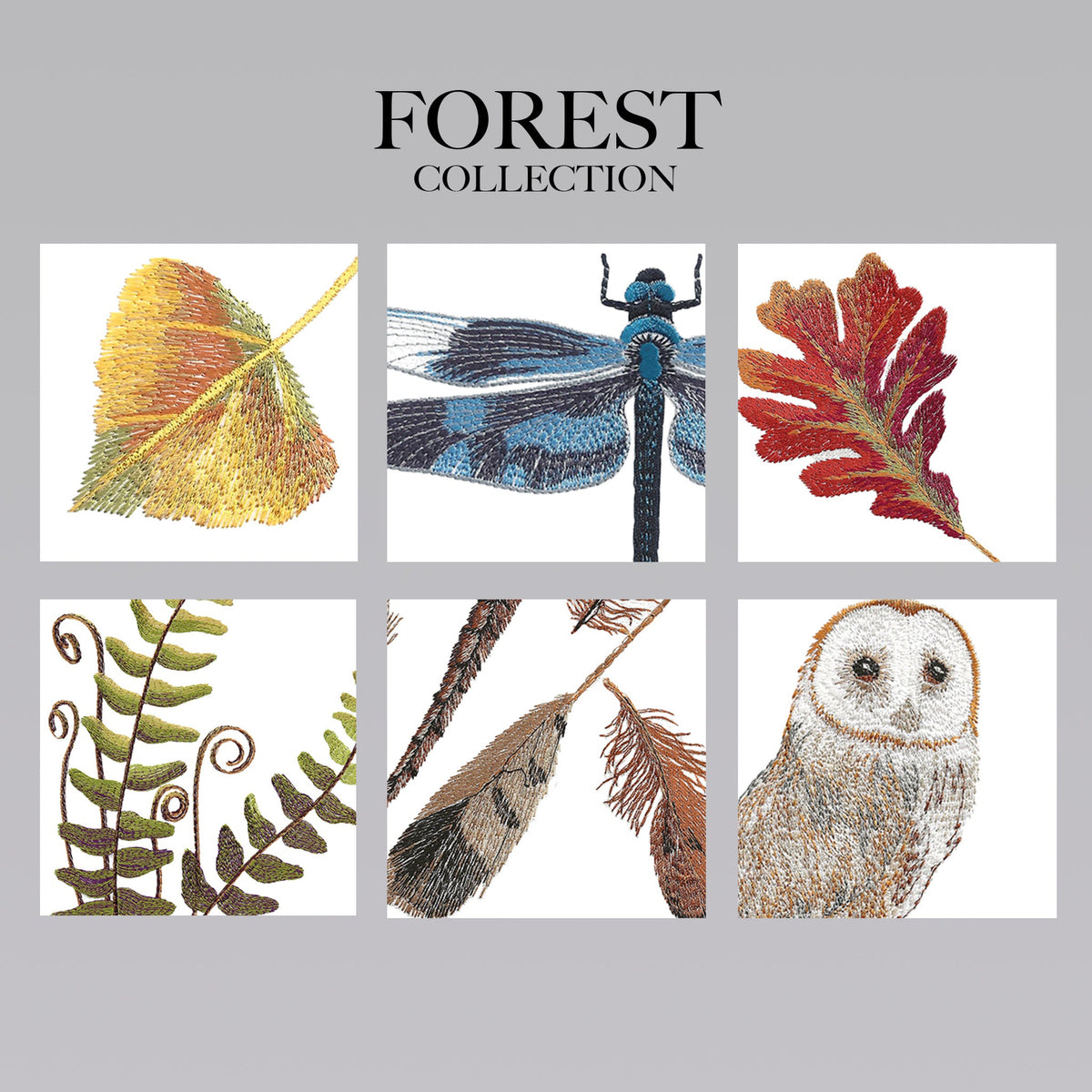 April Forest Collection Collections