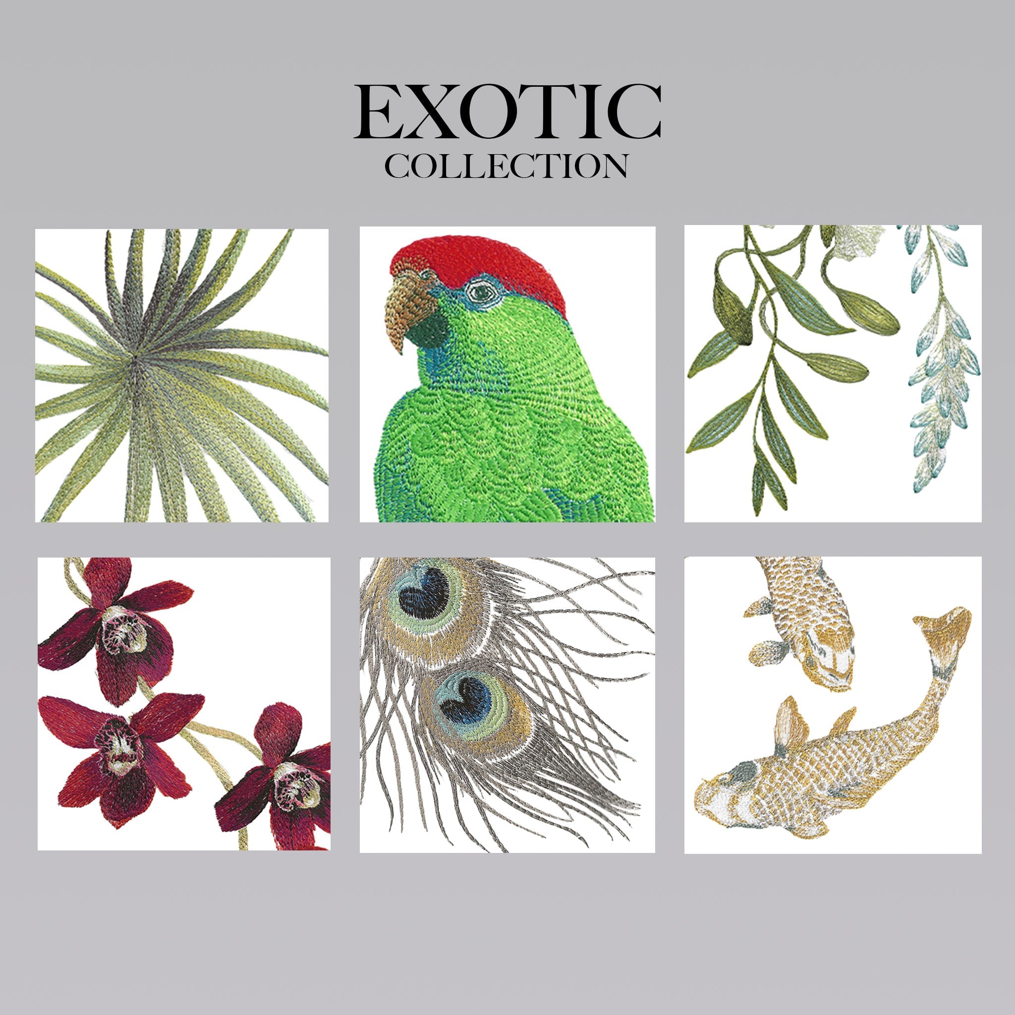 Exotic