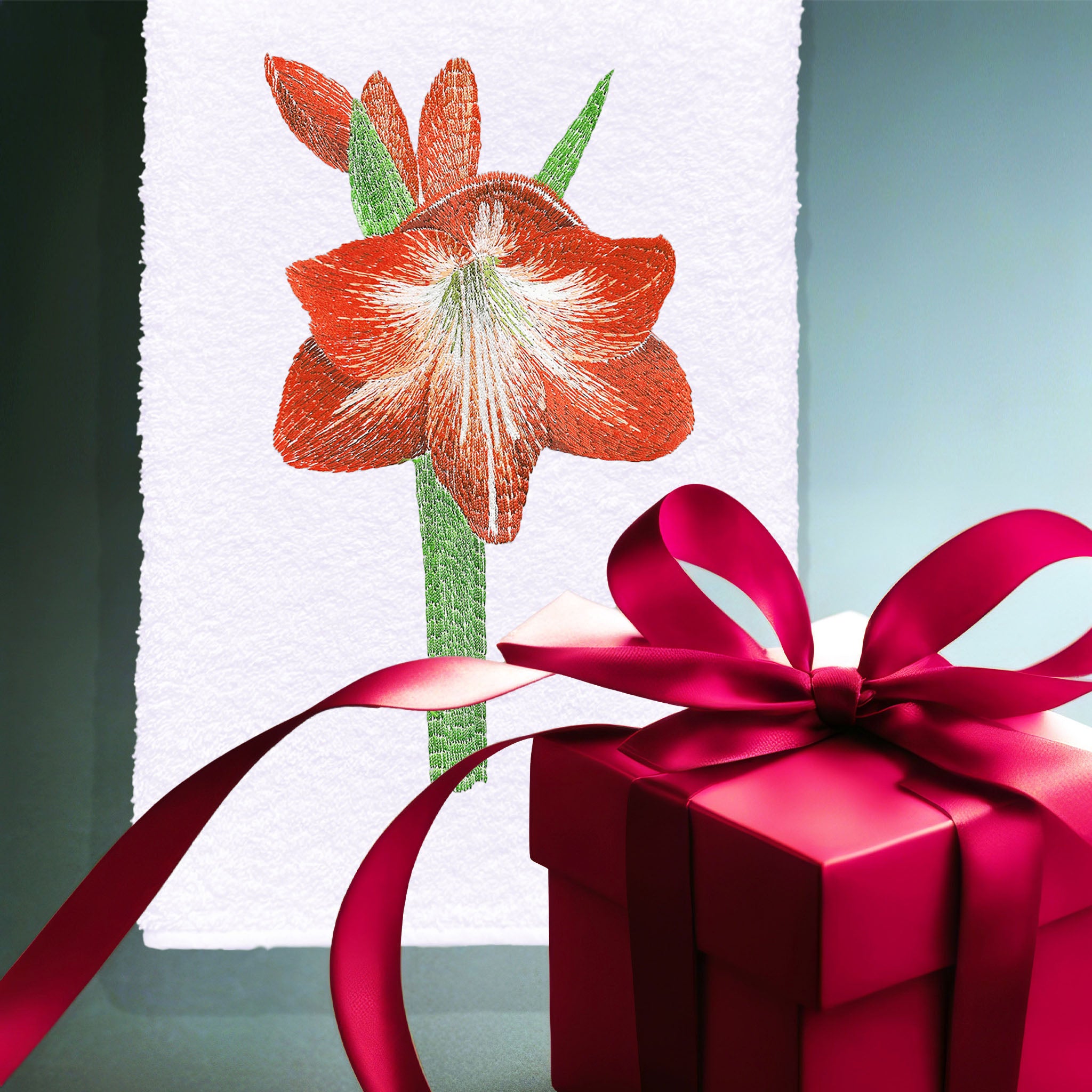 Amaryllis