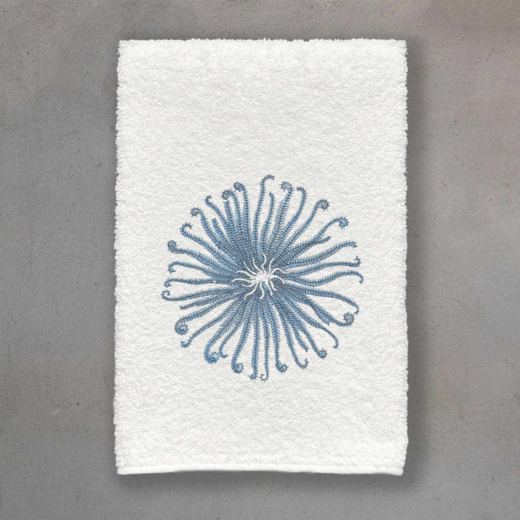 Curly Urchin Blue | Ivory Roma