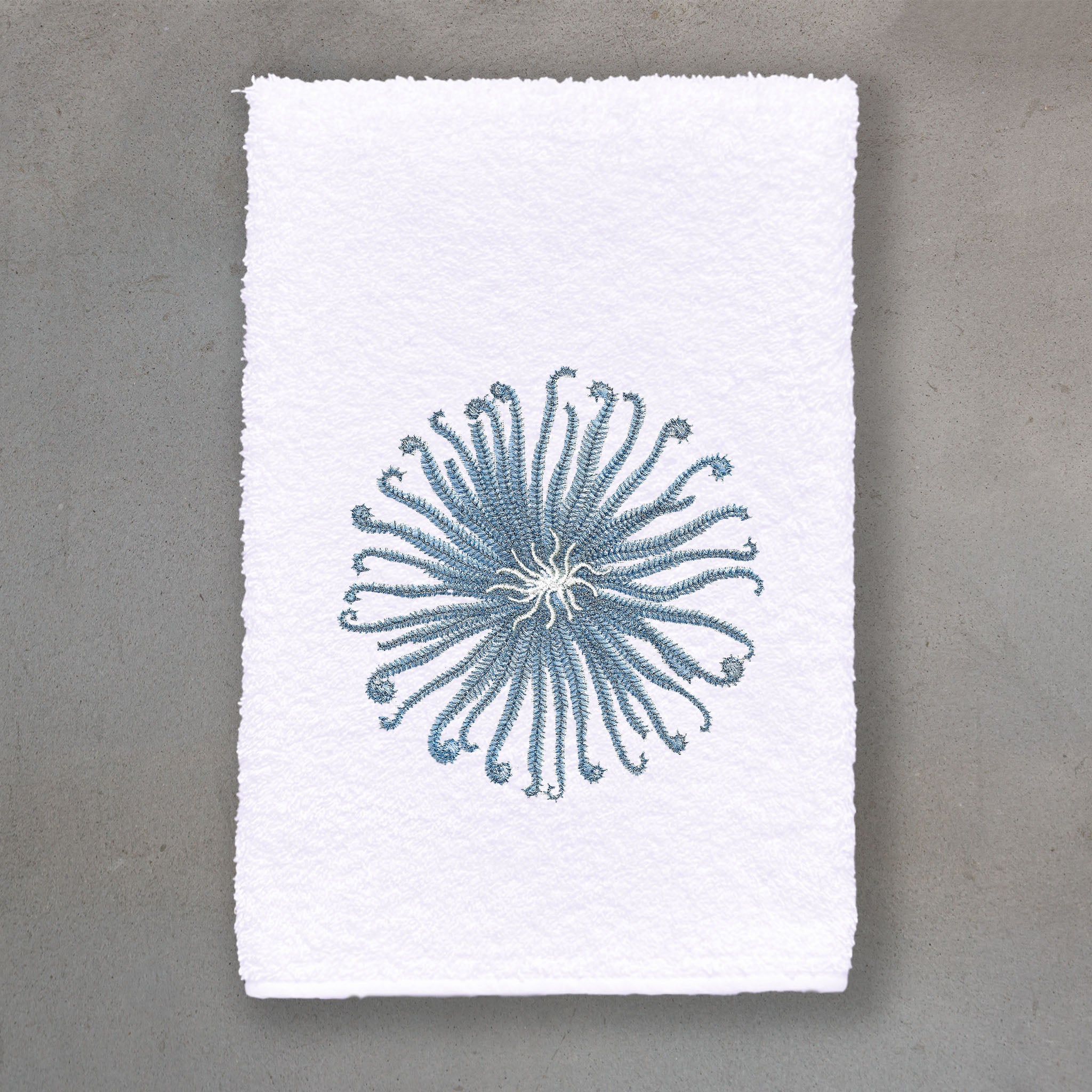 Curly Urchin Blue | White Roma