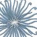 Curly Urchin Blue