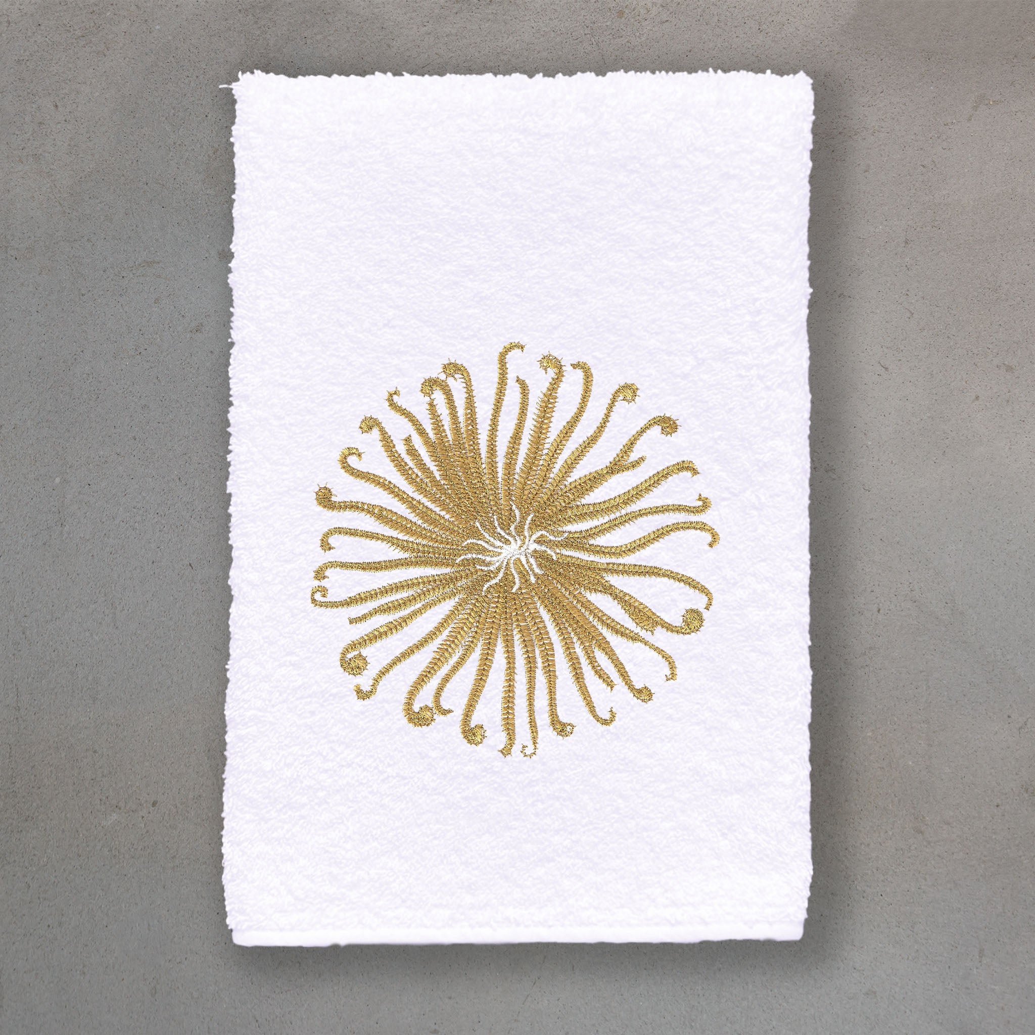 Curly Urchin Gold | White Roma
