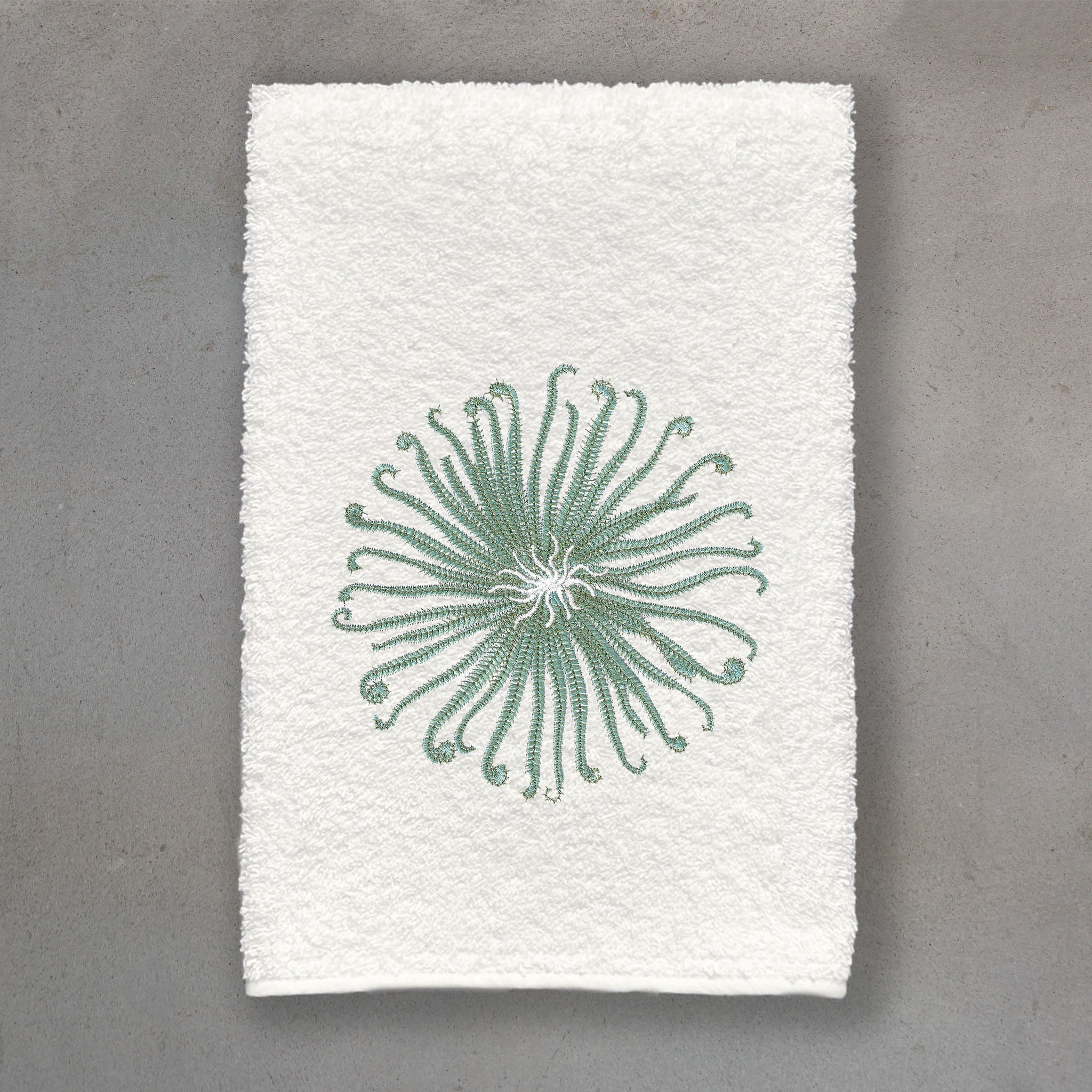 Curly Urchin Green | Ivory Roma