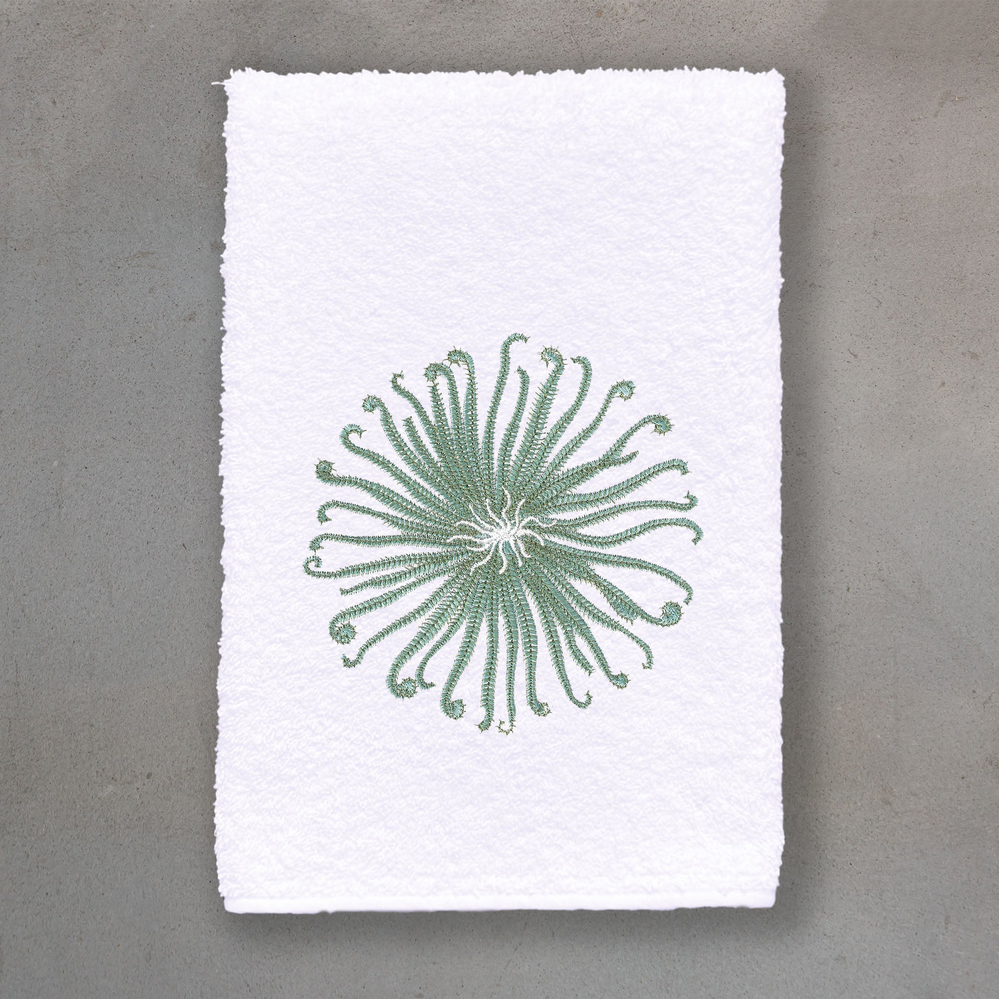 Curly Urchin Green | White Roma