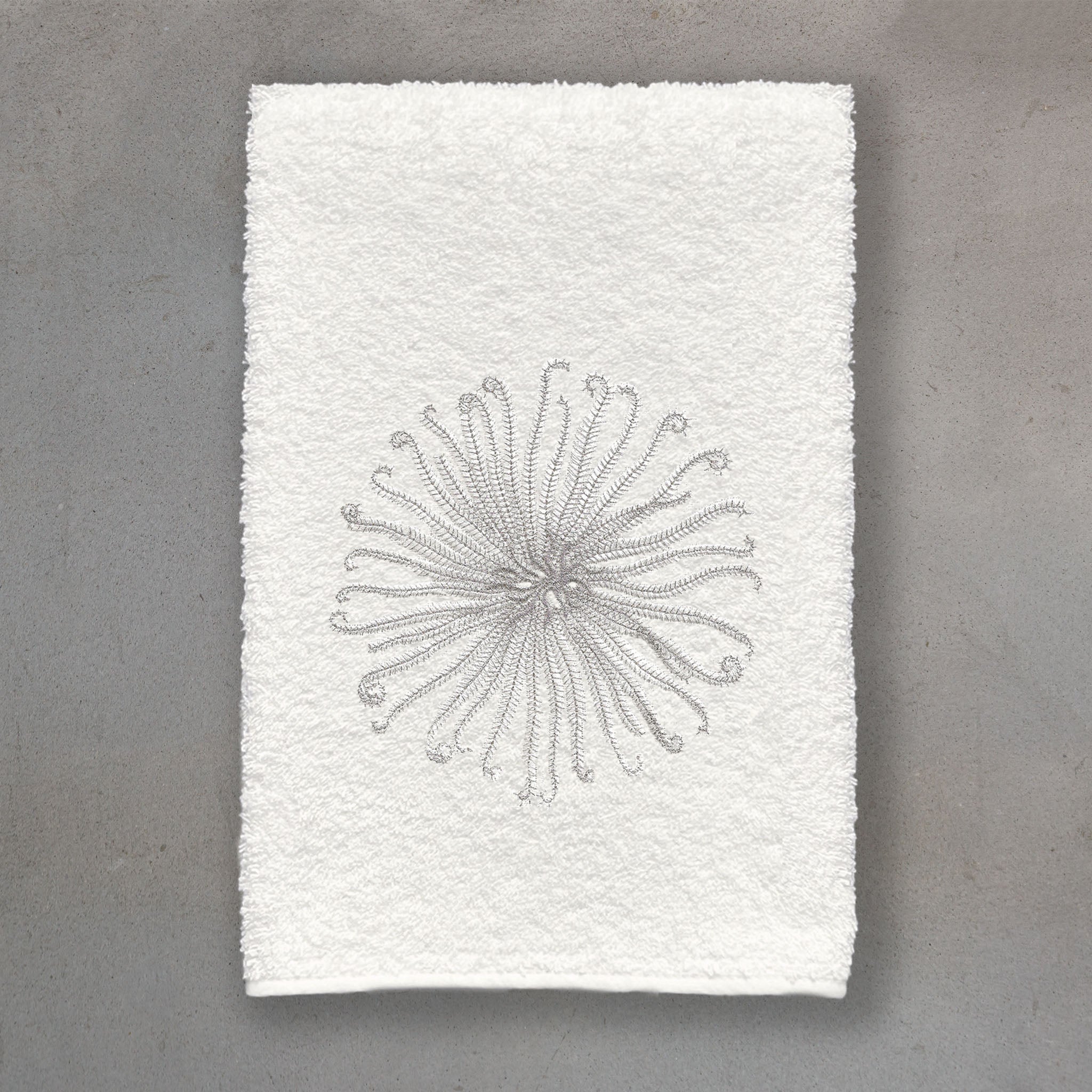 Curly Urchin White | Ivory Roma