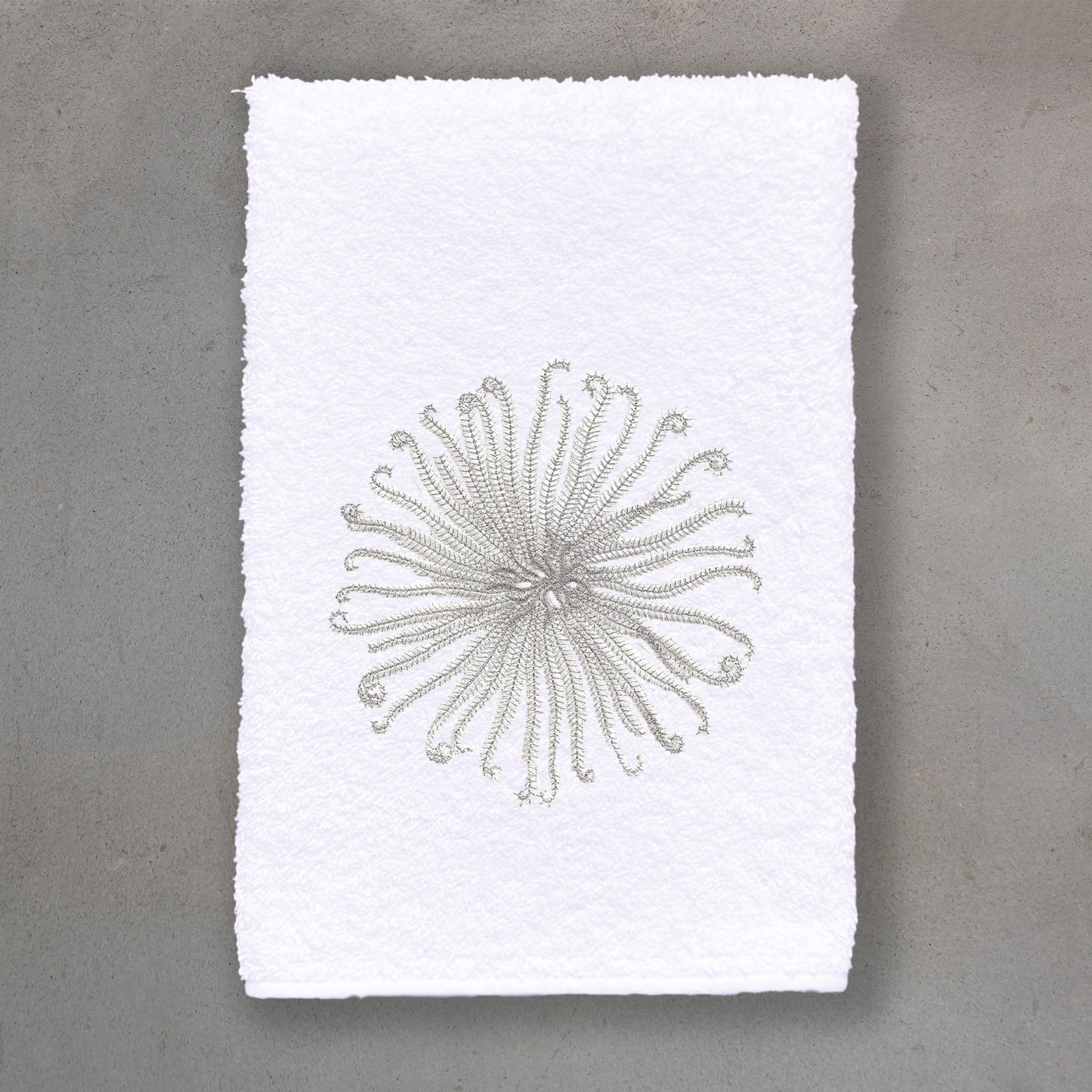 Curly Urchin White | White Roma