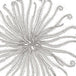 Curly Urchin White