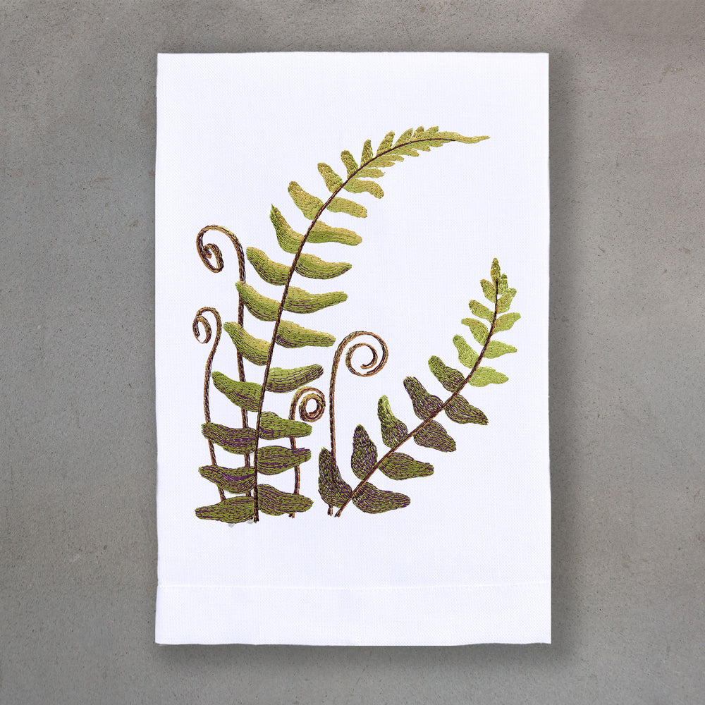 Fern