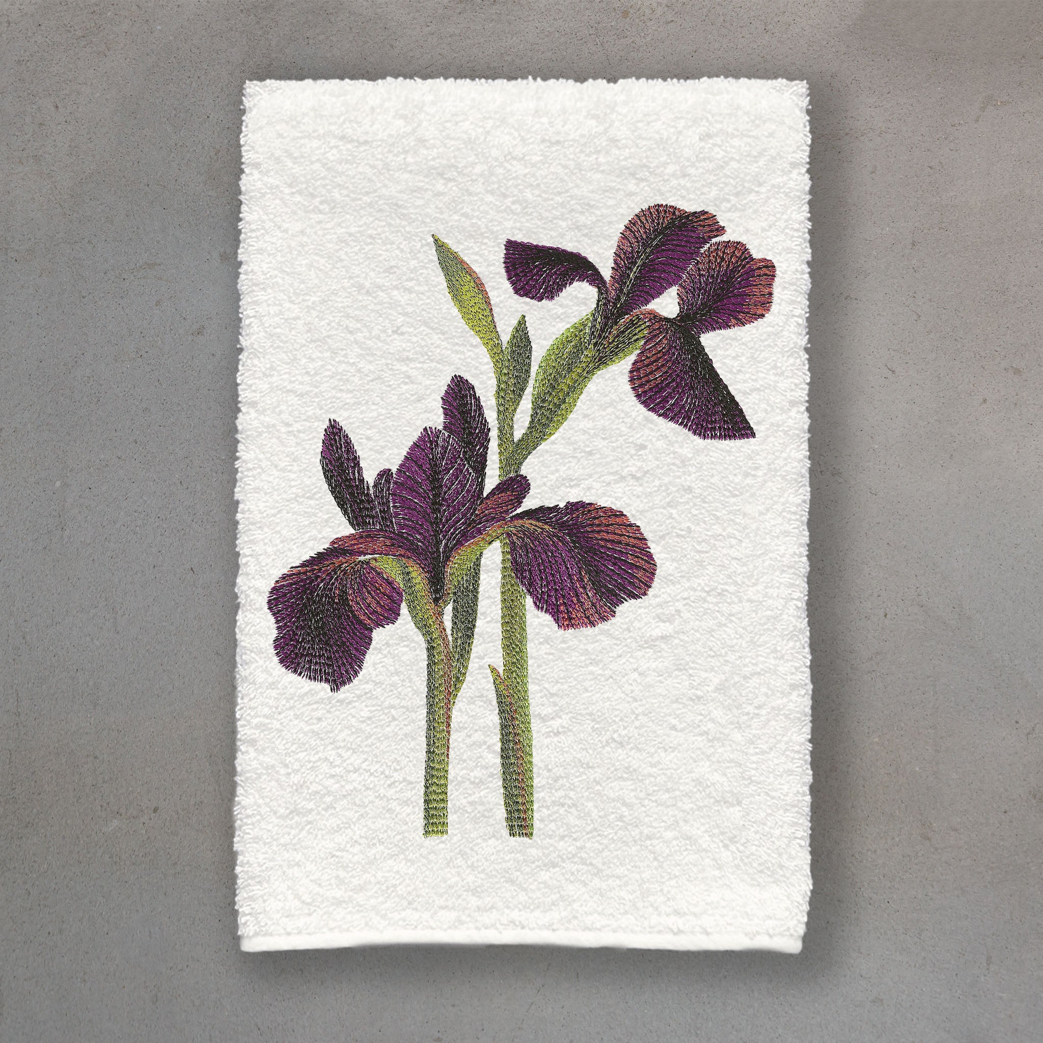 Iris Black | Ivory Roma