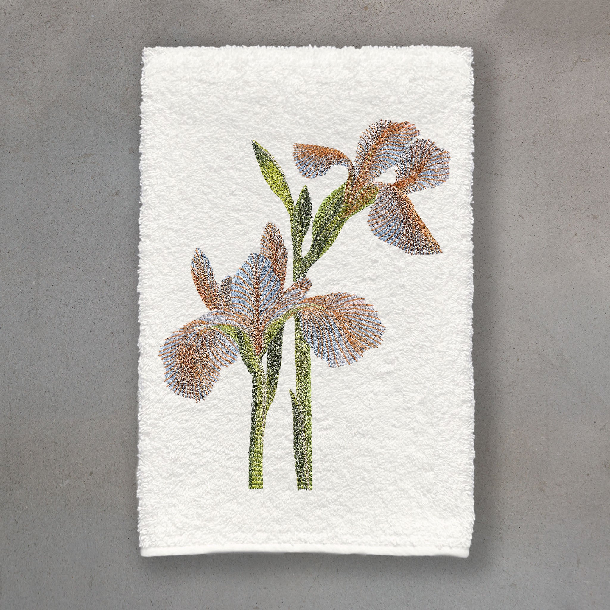 Iris Mango | Ivory Roma
