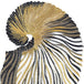 Jewel Nautilus Gold