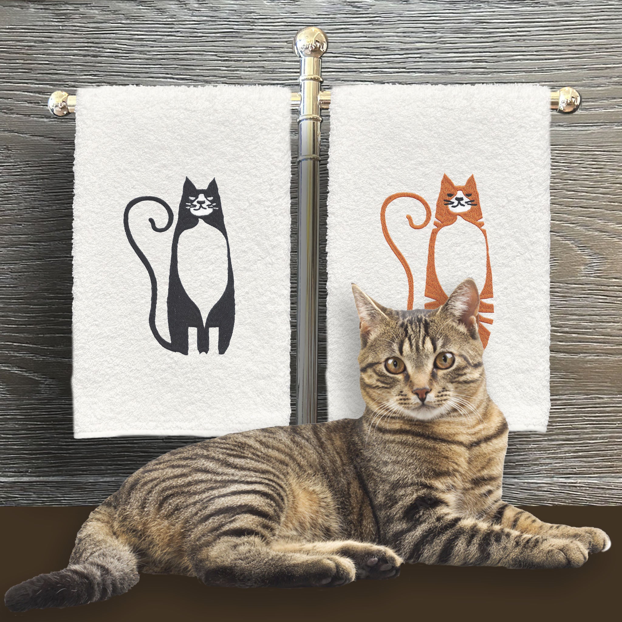 Kitty