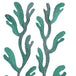 Kohola Aqua