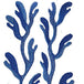 Kohola Blue