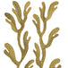 Kohola Gold