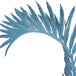 Martinique Blue