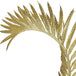 Martinique Gold