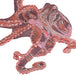 Octopus Coral