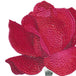 Rosebud Red