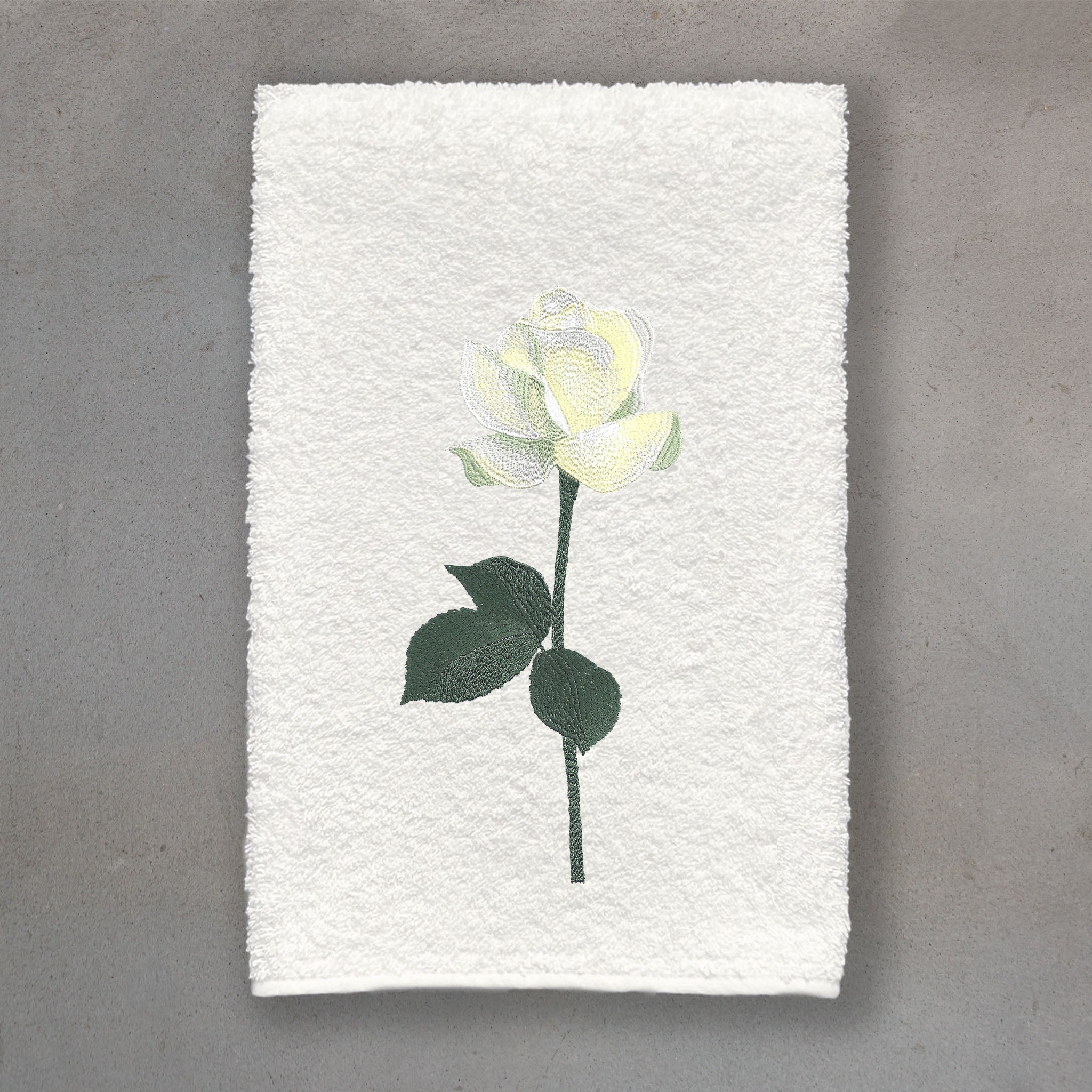 Rosebud White | Ivory Roma