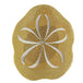 Sand Dollar Gold