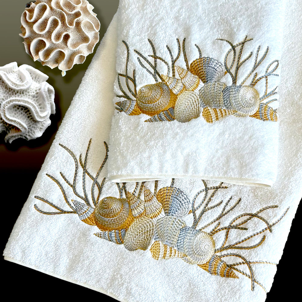 Shell Sanle Shells