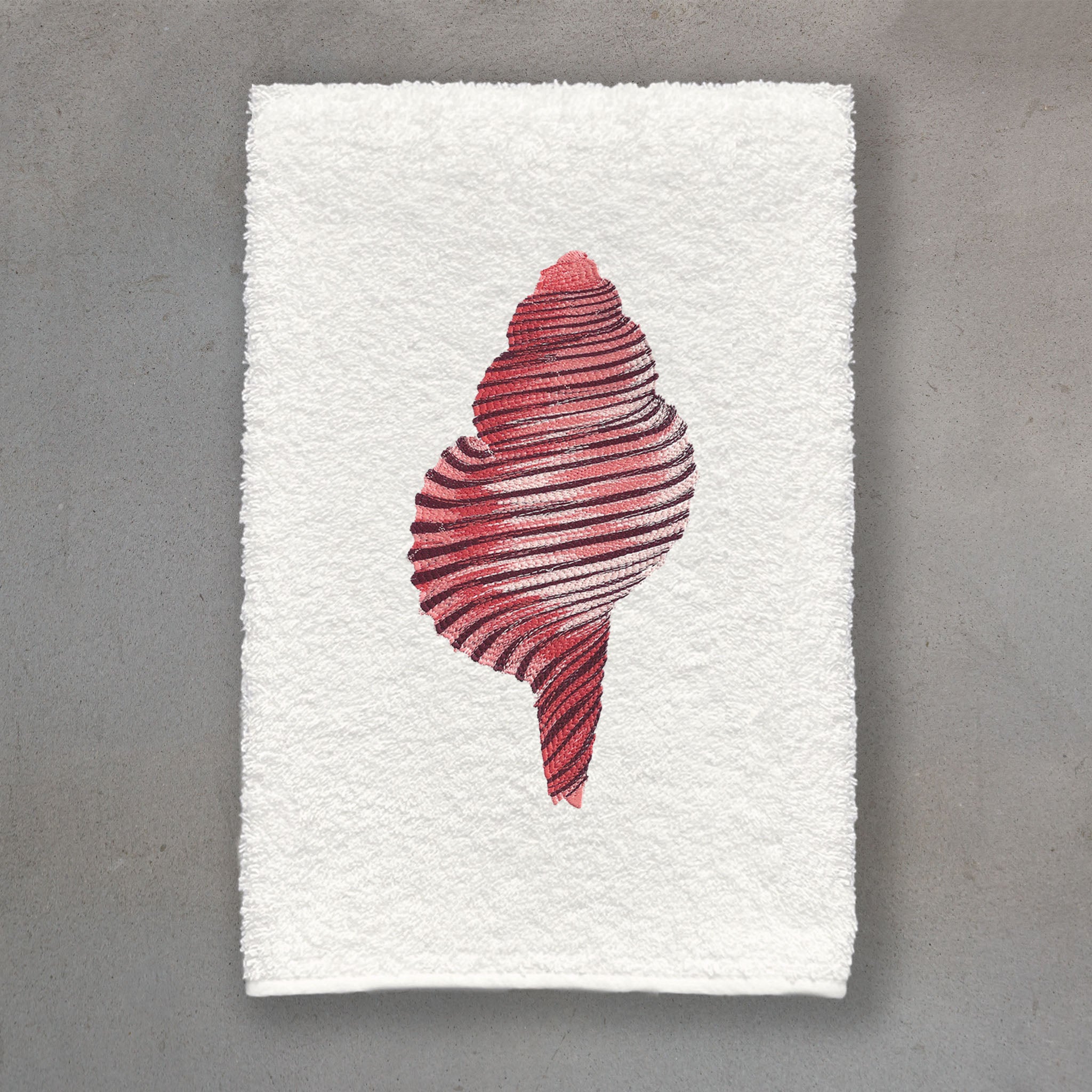 Spiral Shell Coral | Ivory Roma