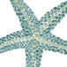 Starfish Aqua