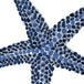 Starfish Blue