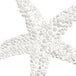 Starfish White